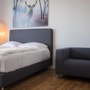 Studio met een King Size Bed